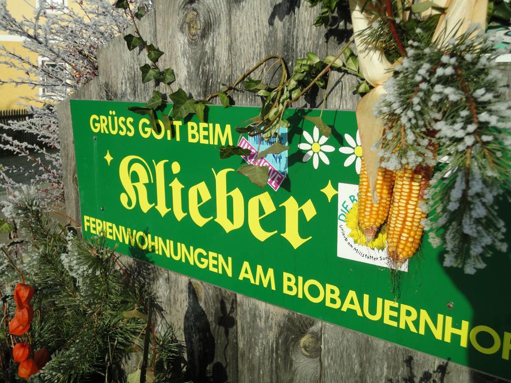 米尔施塔特Klieber - Urlaub Am Biobauernhof别墅 外观 照片